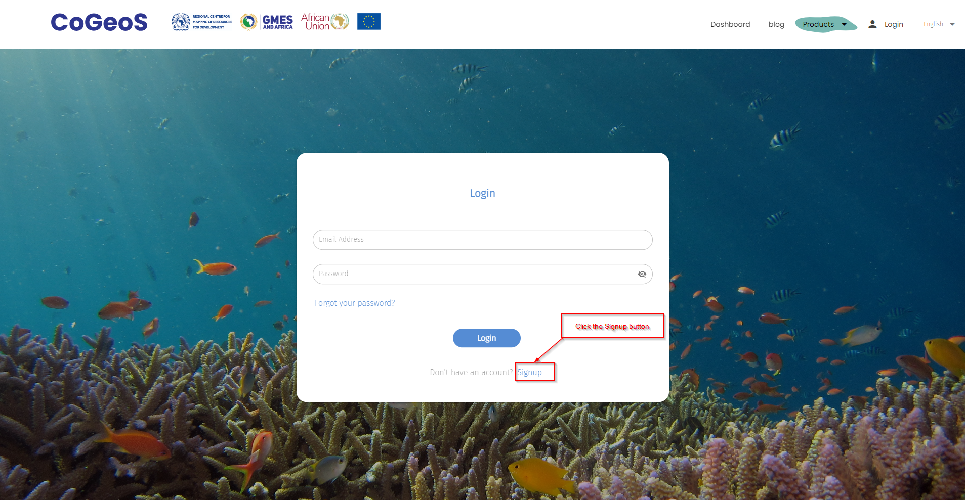 Login and Signup page